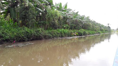 Chuyển nhượng đất trong phân khu phục hồi sinh thái